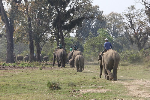 Chitwan Wildlife Tour